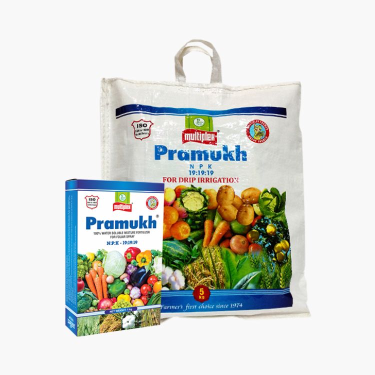 Multiplex Pramukh (N:P:K-19:19:19) Water Soluble Mixture Fertilizer