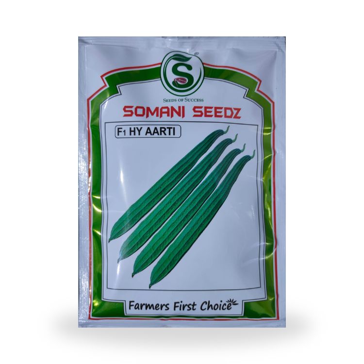 Somani Seedz Aarti Ridge Gourd F1 Hybrid Seed 50 gm