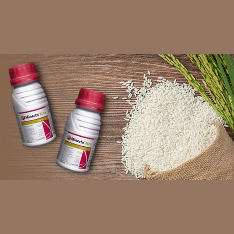 Syngenta Minecto Xtra (Cyantraniliprole 16.9% + Lufenuron 16.9% SC) Insecticide