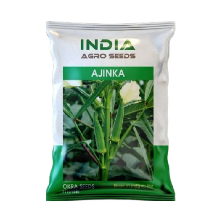 India Agro Seeds Ajinka Okra F1 Hybrid Seeds