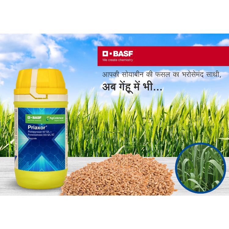 BASF Priaxor (Fluxapyroxad 167 G/L + Pyraclostrobin 333 G/L SC) बुरशीनाशक