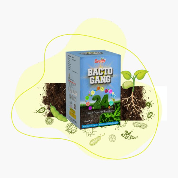 Geolife Bactogang-24 High Performing Bio Fertilizer