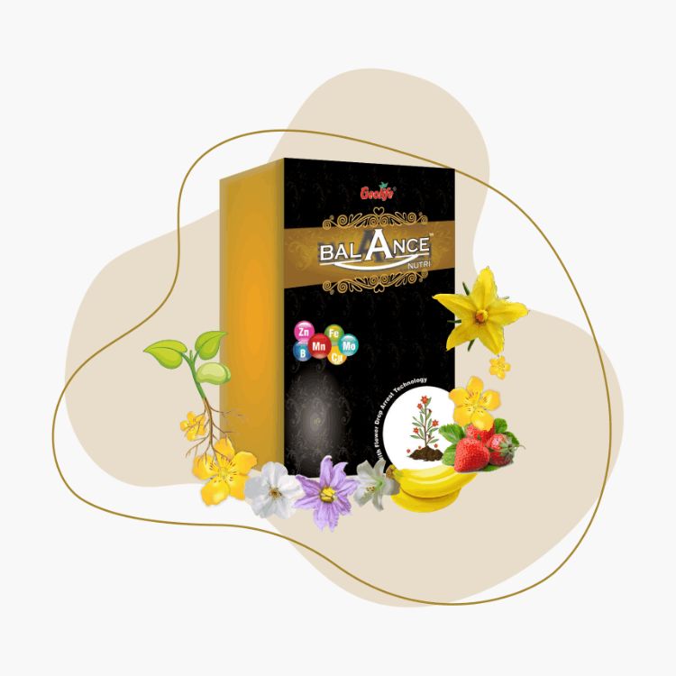 Geolife Balance Nutri Macro Nutrient Fertilizer