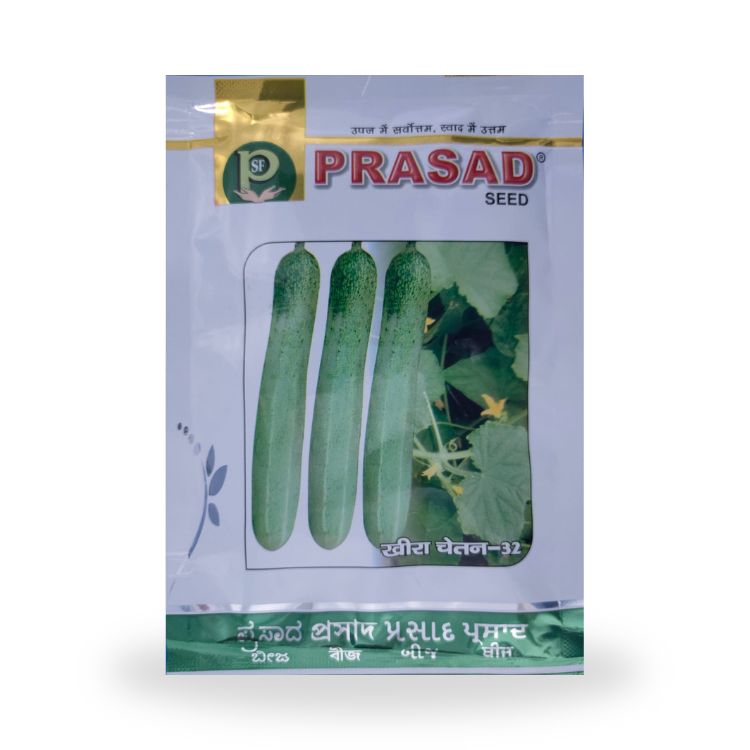 प्रसाद बियाणे चेतन-३२ काकडीच्या बिया २५ ग्रॅम