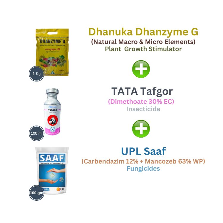 Combo Set 3 in 1 For Rose and All Flowers (Floriculture)