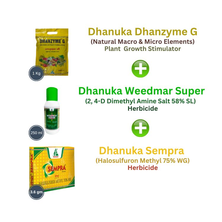 Combo Set 3 in 1 For Lawns and Grass weeds