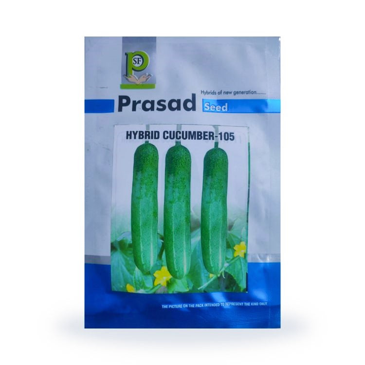 प्रसाद बियाणे १०५ हायब्रिड काकडीच्या बिया १० ग्रॅम