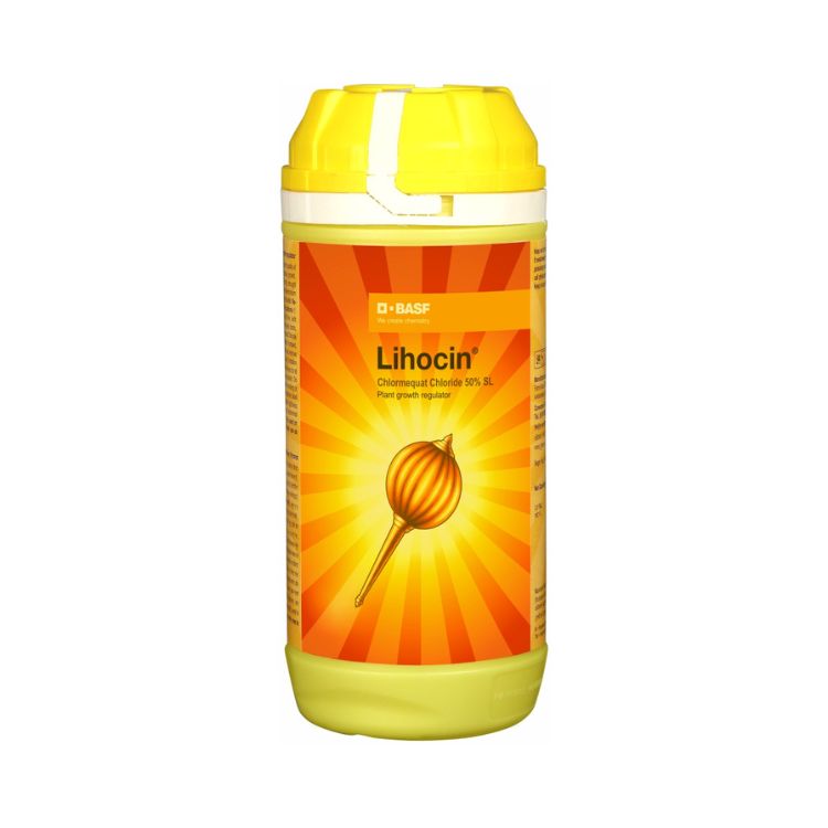 बीएएसएफ लिहोसिन (क्लोरमेक्वाट क्लोराइड ५०% एसएल) वनस्पती वाढ नियामक