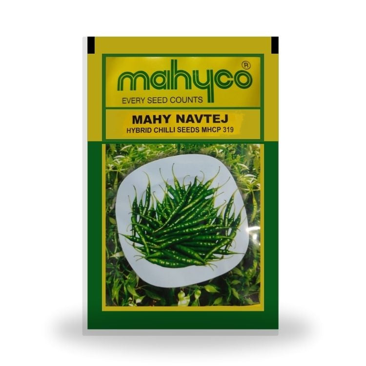Mahyco Mahy Navtej (MHCP-319) संकरित मिरची बियाणे