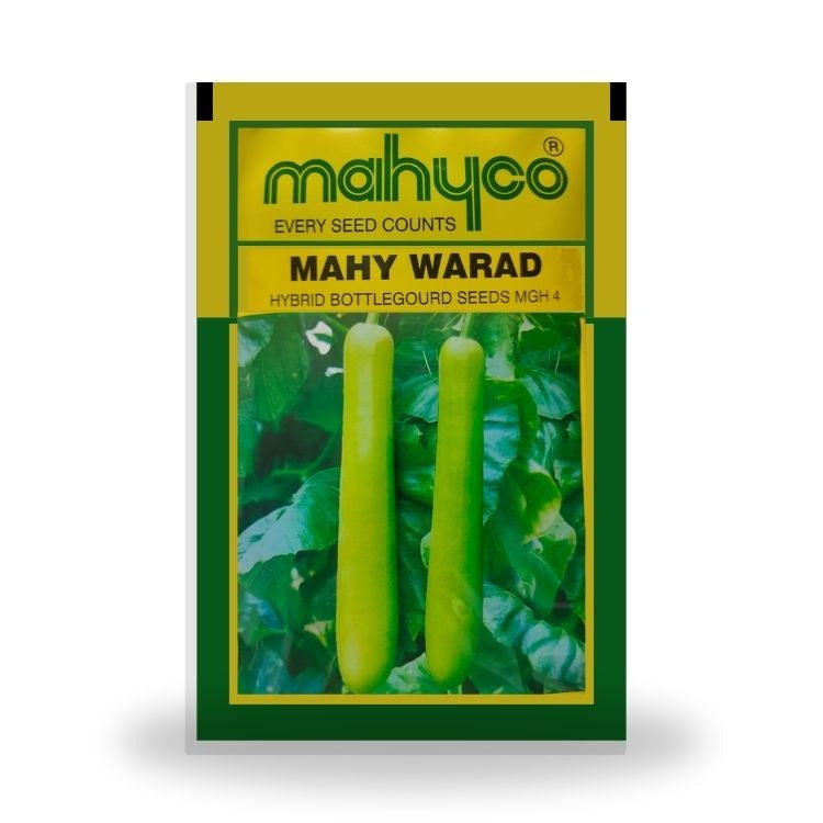 Mahyco Mahy Warad (MGH-4) Hybrid Bottlegourd Seeds