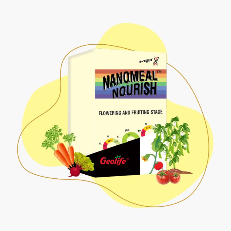 Geolife Nanomeal Nourish For Flowering and Fruiting Stage 100% Water Soluble Mixture Of Fertilizer