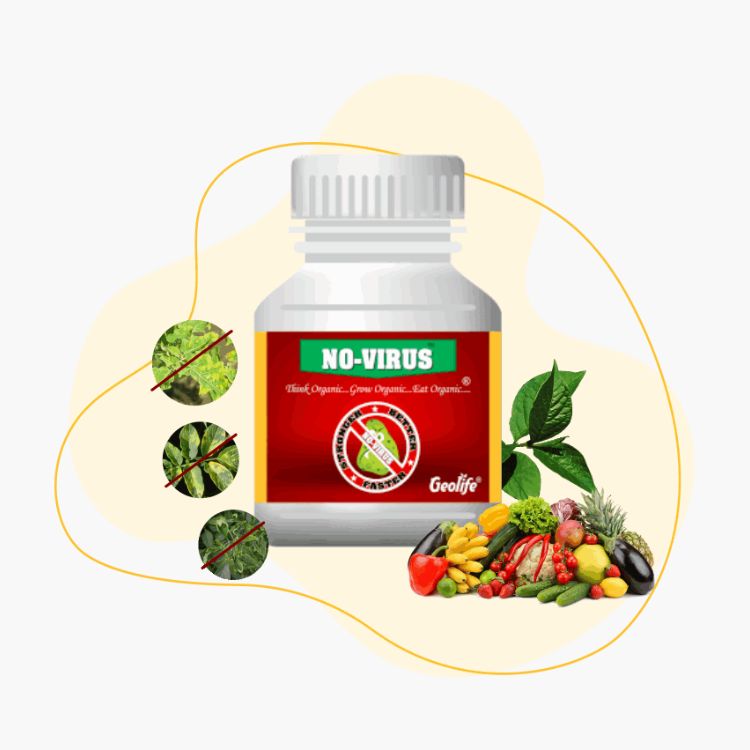 Geolife No Virus - Botanical Anti-Viral Product