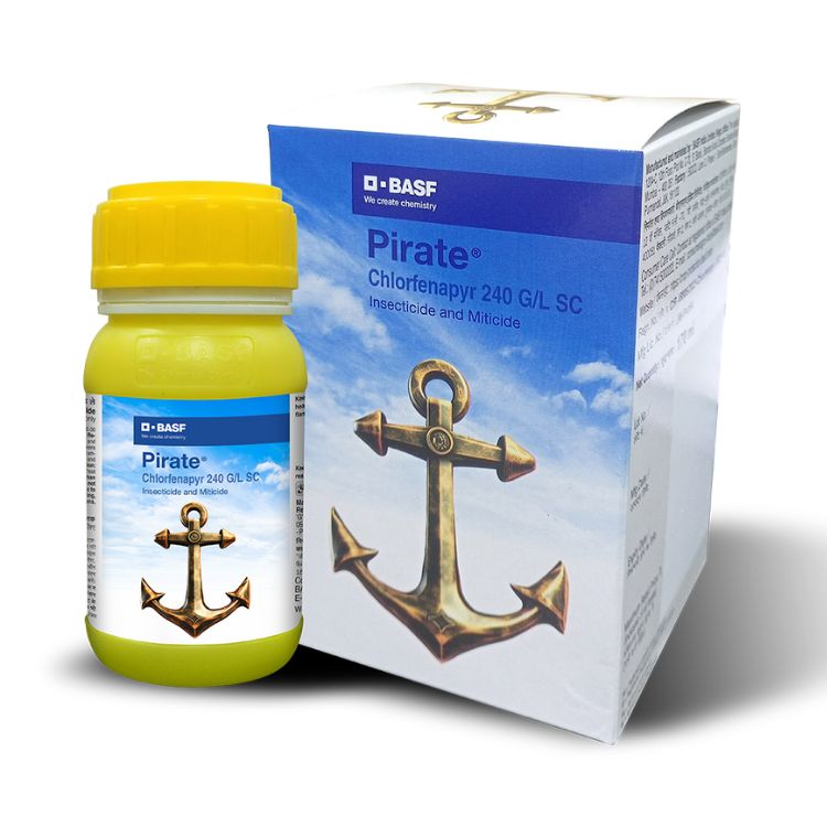 BASF Pirate (Chlorfenapyr 240 G/L SC) Insecticide and Miticide