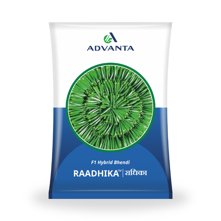Advanta Seeds Raadhika Hybrid Bhendi Seeds