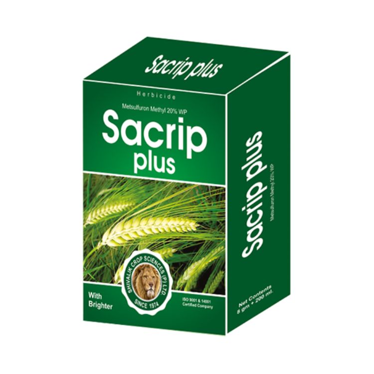 Shivalik Sacrip Plus (Metsulfuron Methyl 20% WP + Activator) Herbicide