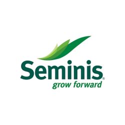 सेमिनिस अभिलाष हायब्रीड टोमॅटो बियाणे