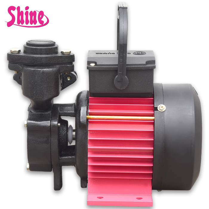 C.R.I 1HP Self-Priming Monoblock Pumpset (SHINE100)