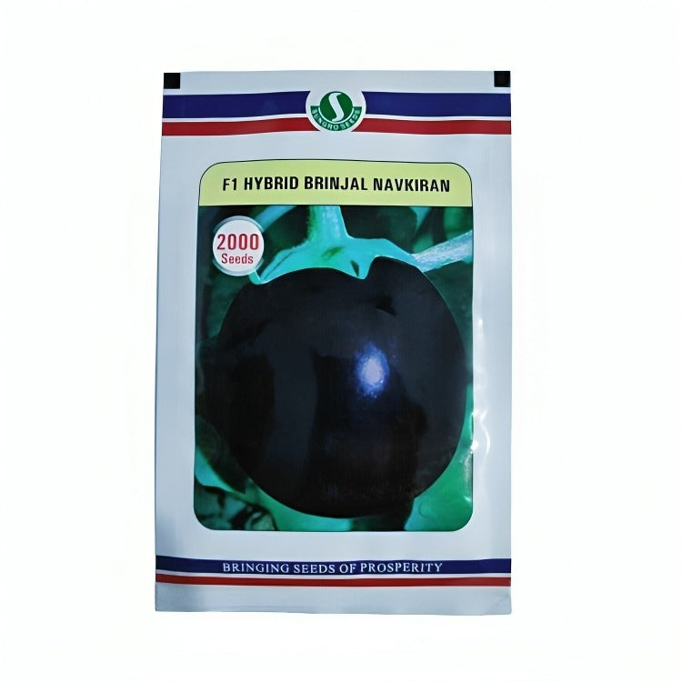 Sungro Navkiran Brinjal F1 Hybrid Seeds