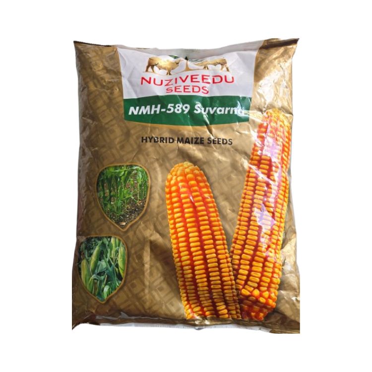 Nuziveedu Seeds NMH-589 Suvarna Hybrid Maize Seeds