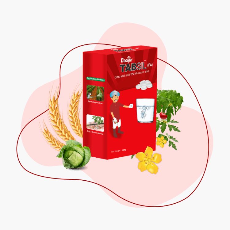 जिओलाइफ टॅबसिल - उच्च % ऑर्थो सिलिकिक अॅसिड एफर्वेसेंट टॅब्लेट्स