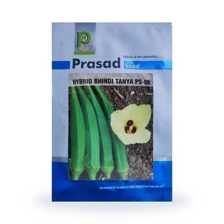 Prasad Seed Tanya PS-88 Hybrid Bhindi Seeds 100gm