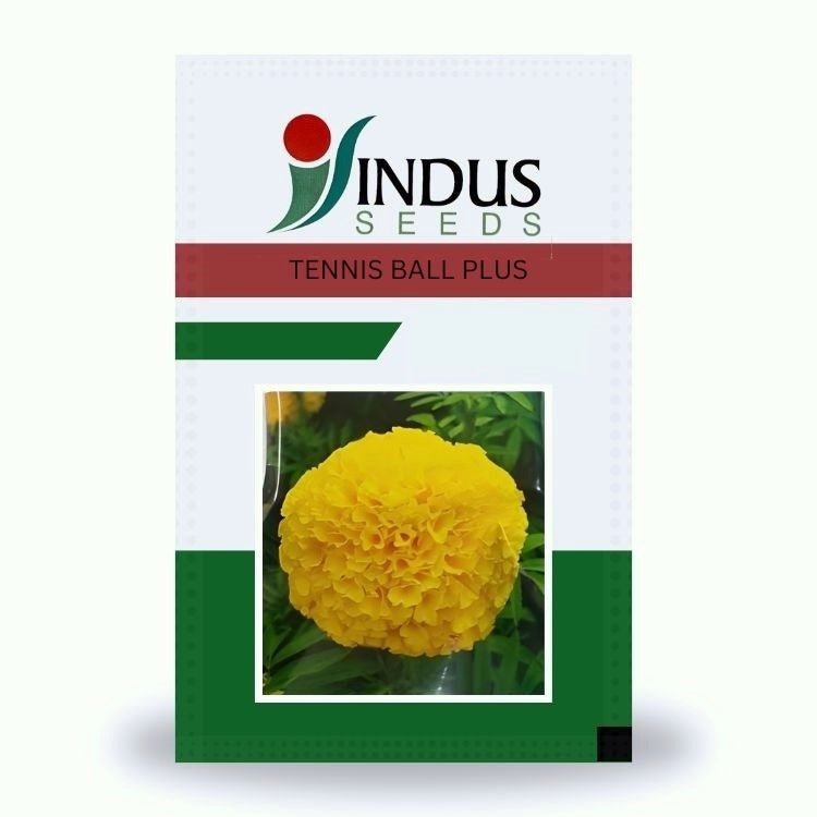 indus marigold seeds Indus Tennis Ball Plus F1 Hybrid Marigold Seeds – Cultree India