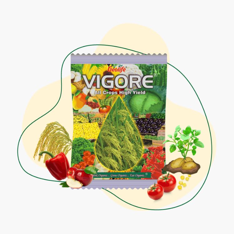 Geolife Vigore Superior Organic Yield Enhancer