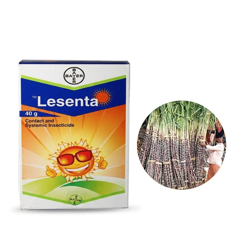 Bayer Lesenta ( Fipronil 40% + Imidacloprid 40% WG ) Insecticide