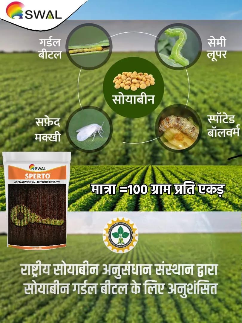 Swal Sperto (Acetamiprid + Bifenthrin 25% WG) Insecticide