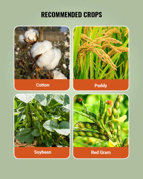 Syngenta Ampligo ( Chlorantraniliprole 9.3% + Lambda cyhalothrin 4.6% ZC ) Insecticide