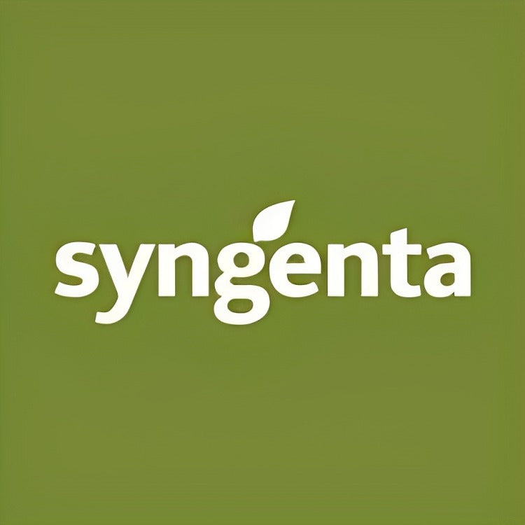 Syngenta Mucio हिरवे वाटाणे बियाणे 1 किलो