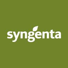 Syngenta Heemsona Tomato Hybrid Seeds 3500SD