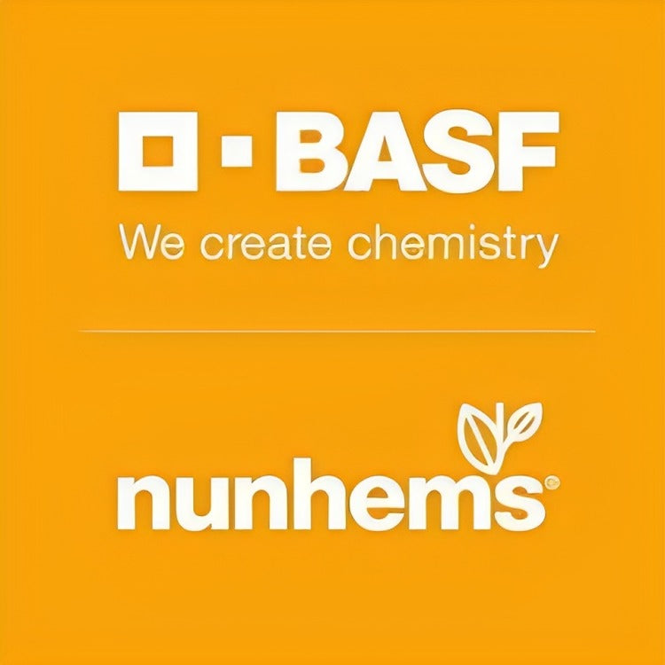 BASF nunhems शिवांश F1 संकरित भेंडी बियाणे
