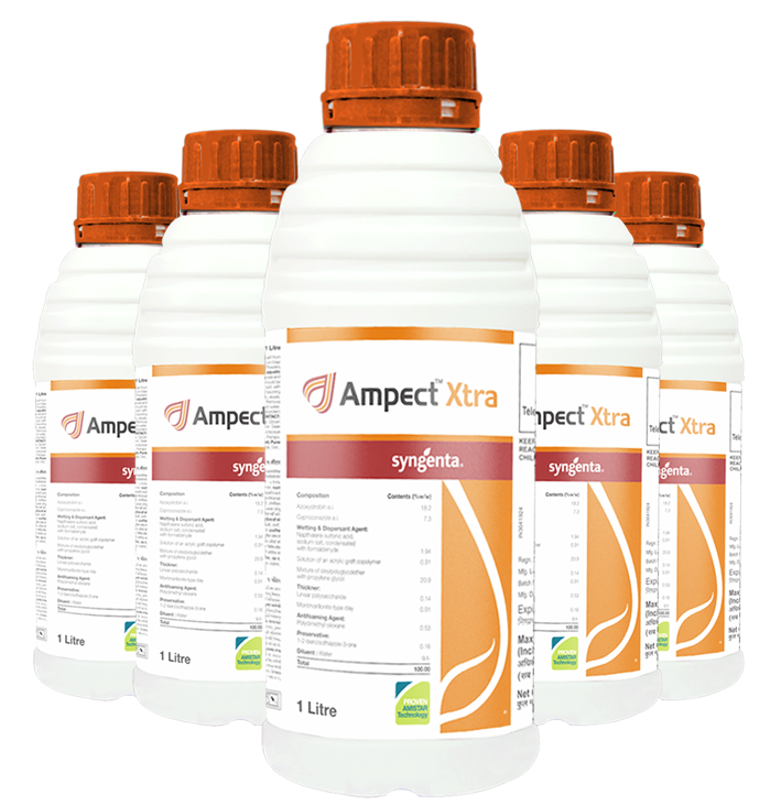 Syngenta Ampect Xtra ( Azoxystrobin 18.2% + Cyproconazole 7.3% SC ) Fungicide
