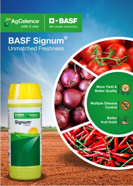 बीएएसएफ सिग्नम (बॉस्कॅलिड २५.२% + पायराक्लोस्ट्रोबिन १२.८% डब्ल्यूजी) बुरशीनाशक