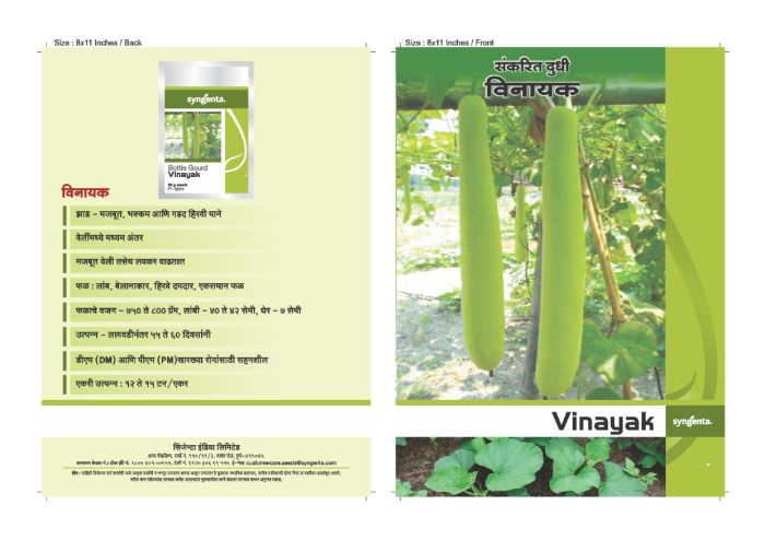 Syngenta Vinayak Bottle Gourd Hybrid Seeds