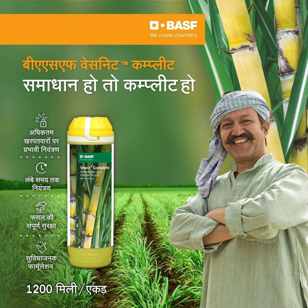 BASF वेस्निट कम्प्लीट (टॉप्रामेज़ोन 10 G/L + एट्राज़ीन 300 G/L SC) हर्बिसाइड