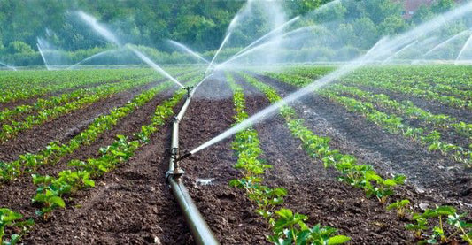 Drip Irrigation - ड्रिप सिंचाई