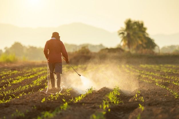 FUNGICIDE – Cultree India