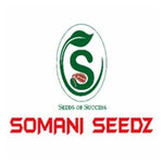 Somani Seedz