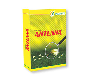 Willowood Antenna (Acetamiprid 20% SP) Insecticide