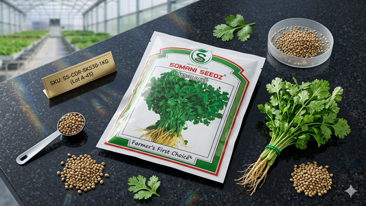 सोमाणी बियाणे खुशी फुलकोबी संकरित बियाणे 10 ग्रॅम