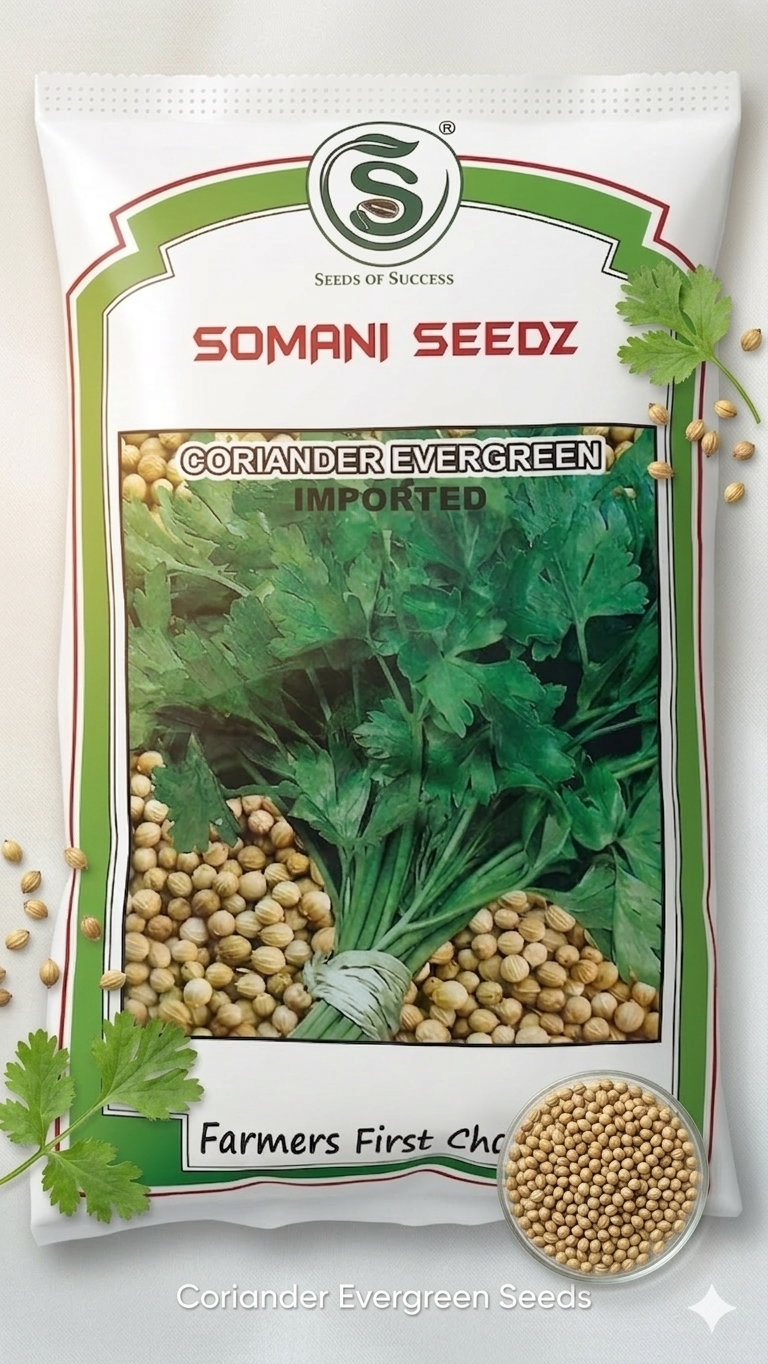 सोमाणी बियाणे खुशी फुलकोबी संकरित बियाणे 10 ग्रॅम