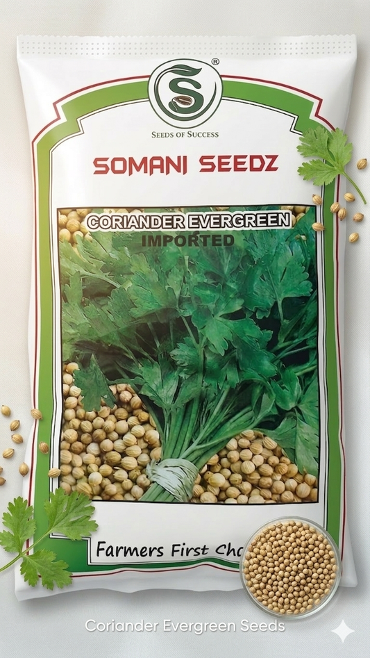 सोमाणी बियाणे खुशी फुलकोबी संकरित बियाणे 10 ग्रॅम