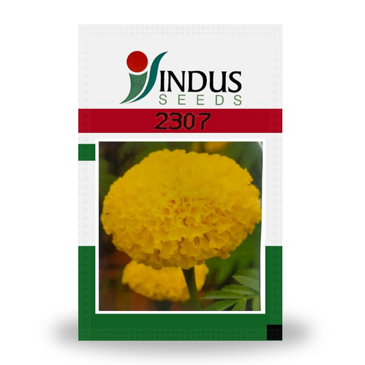 Indus 2307 F1 Hybrid Marigold Seeds