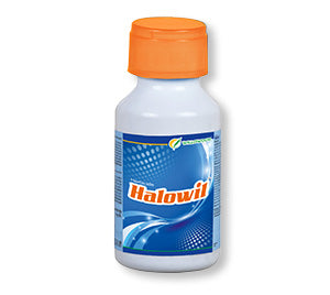 Willowood Halowil (Haloxyfop R Methyl 10.5% EC) Herbicide