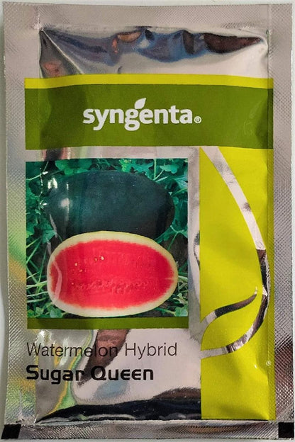 Syngenta Sugar Queen Watermelon Hybrid Seeds 1000SD