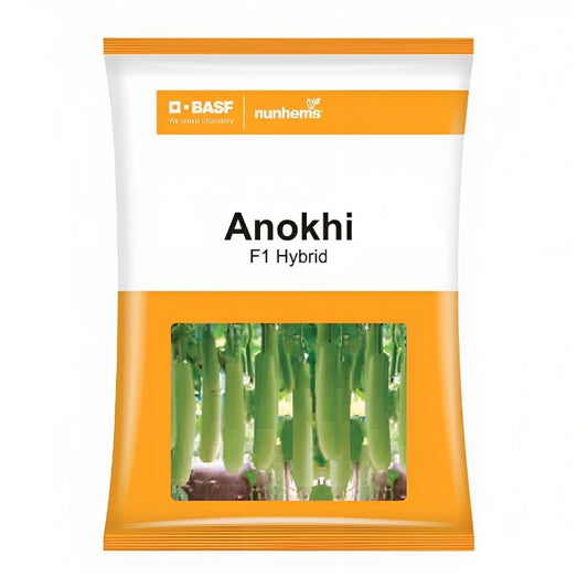 BASF nunhems Anokhi F1 Hybrid Bottle Gourd Seeds
