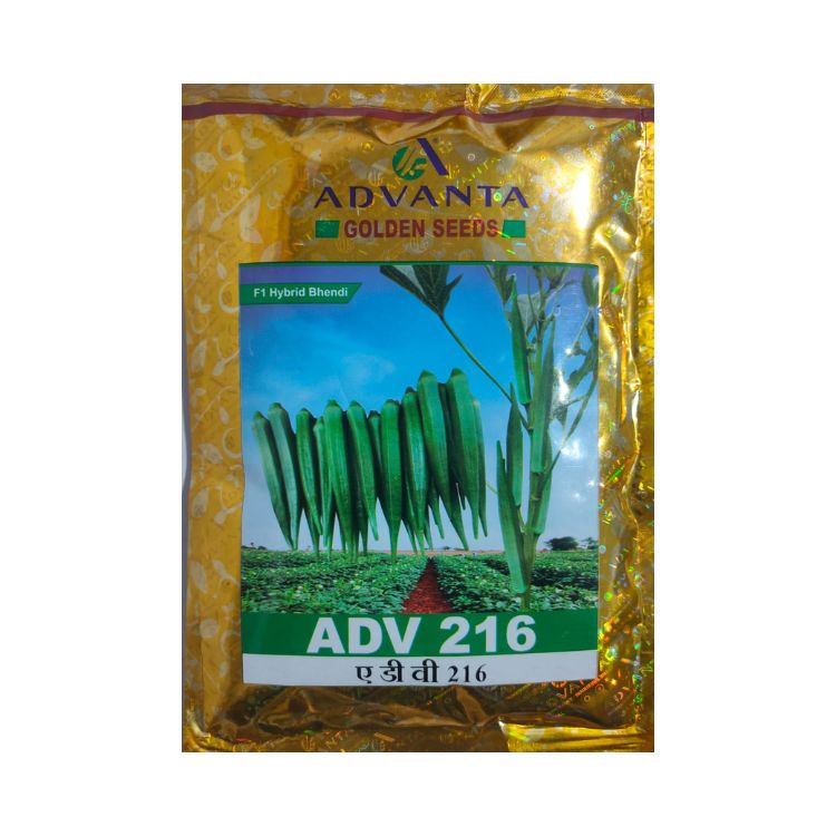Advanta Golden Seeds ADV 216 F1 Hybrid Bhendi Seeds