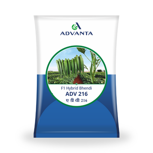 Advanta Seeds ADV 216 F1 Hybrid Bhendi Seeds